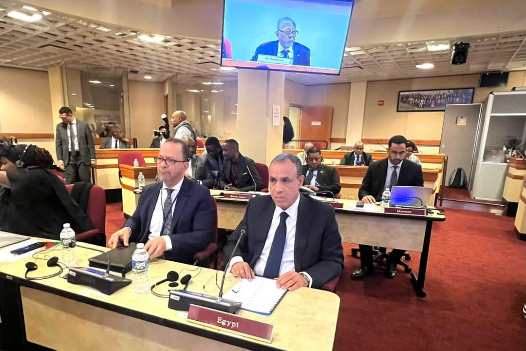 وزير الخارجية : مصر متمسكة بمبادئ الإتحاد الإفريقى فى الإلتزام بوحدة وسيادة واستقرار كافة الدول الإفريقية