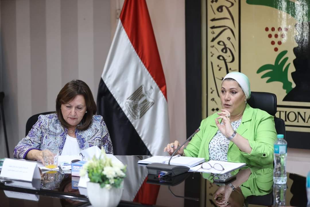 سحر السنباطى: تشكيل لجنة لمتابعة كل ما يخص الطفل في الدراما