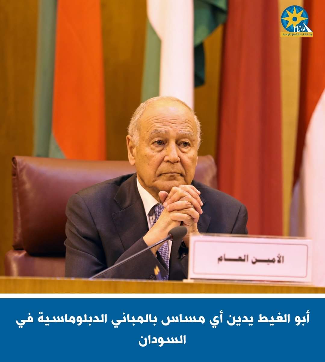 أبو الغيط يدين أى مساس بالمبانى الدبلوماسية فى السودان