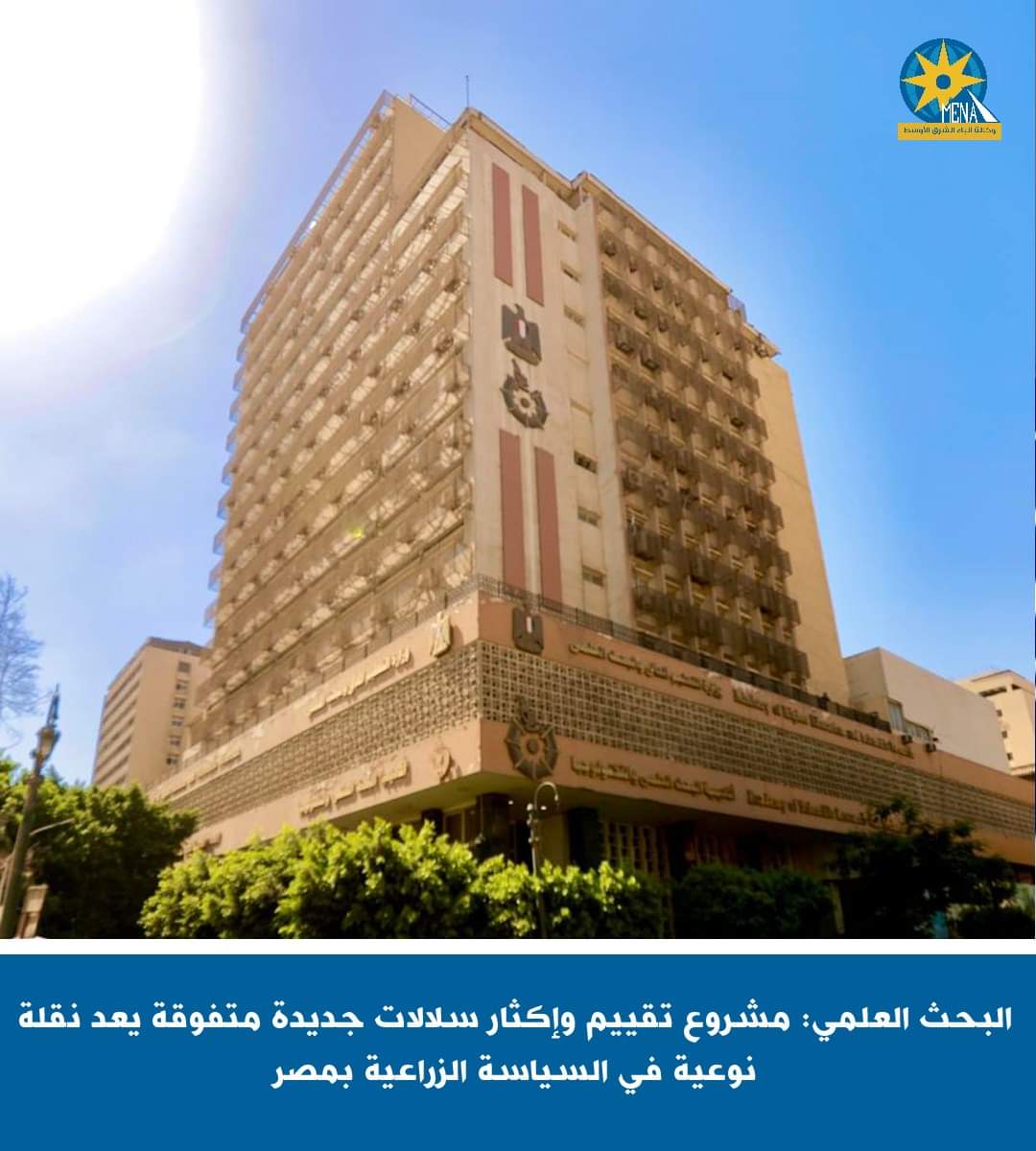 البحث العلمى: مشروع تقييم وإكثار سلالات جديدة متفوقة..نقلة نوعية فى السياسة الزراعية بمصر