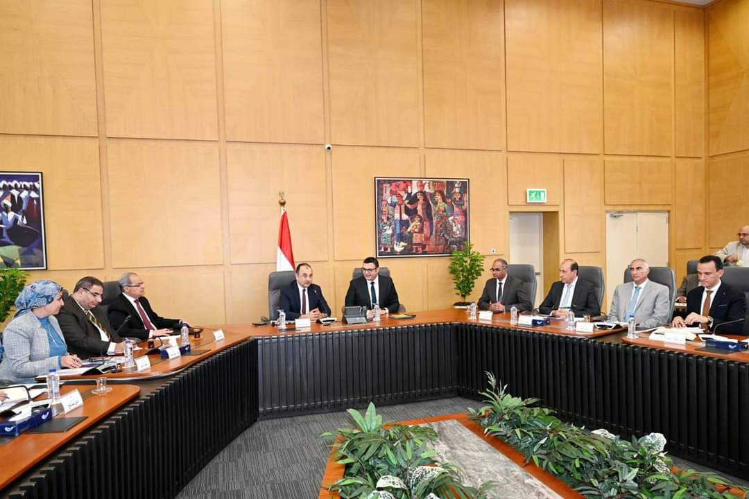 الشربينى وشيمى بحثان تنمية بعض الأصول والأراضى التابعة لشركات قطاع الأعمال