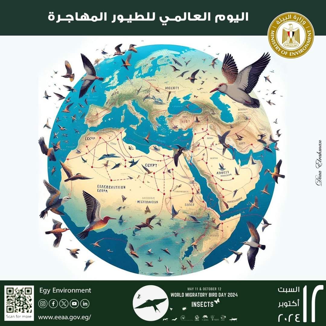 وزيرة البيئة : مصر قبلة الطيور المهاجرة و محطة هامة للتكاثر والغذاء