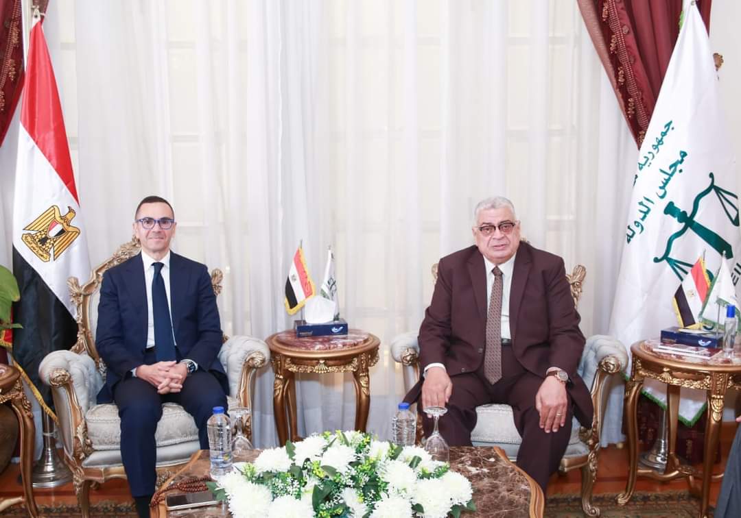 رئيس مجلس الدولة يلتقى وزير الاستثمار
