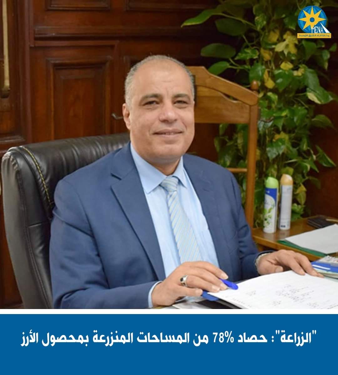 الزراعة":حصاد 78% من المساحات المنزرعة بمحصول الأرز