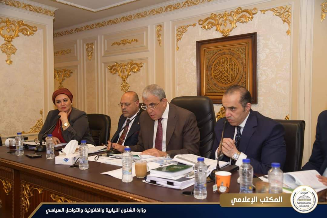 وزير الشئون النيابية والقانونية : مشروع قانون العمل.. يحقق التوازن بين العامل وصاحب العمل والدولة