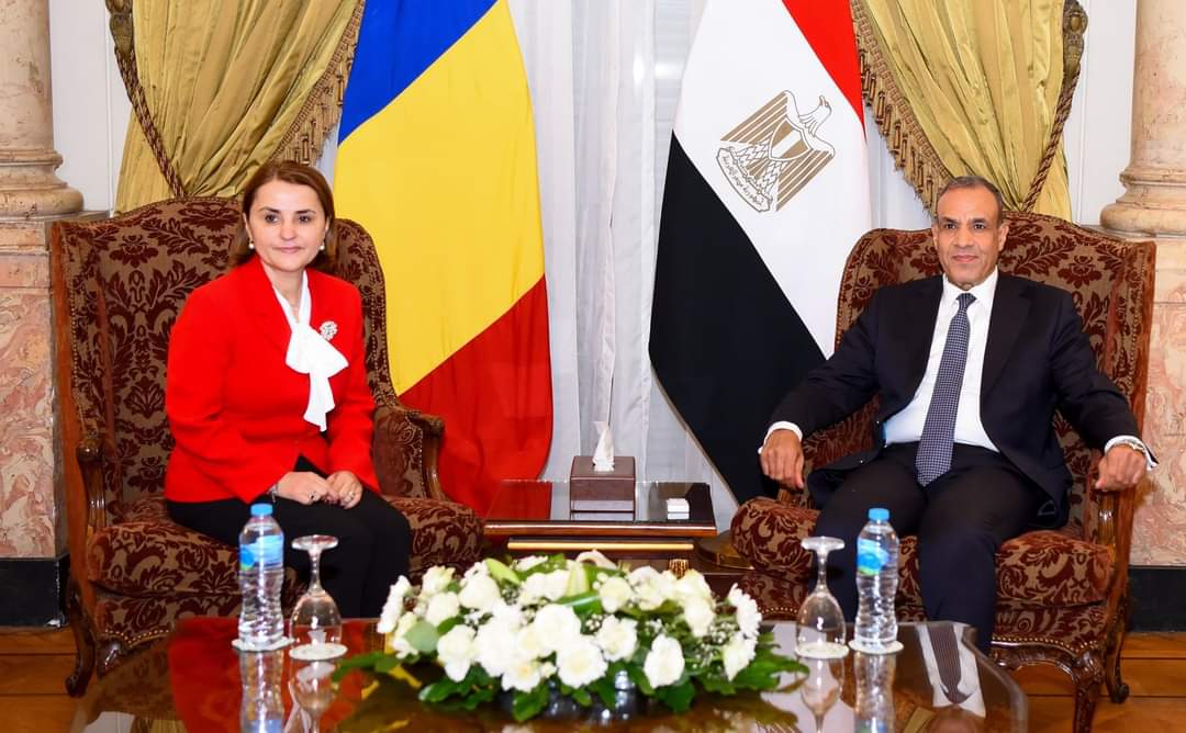 وزير الخارجية يبحث مع نظيرته الرومانية القضايا الإقليمية والدولية - الخبر لايف