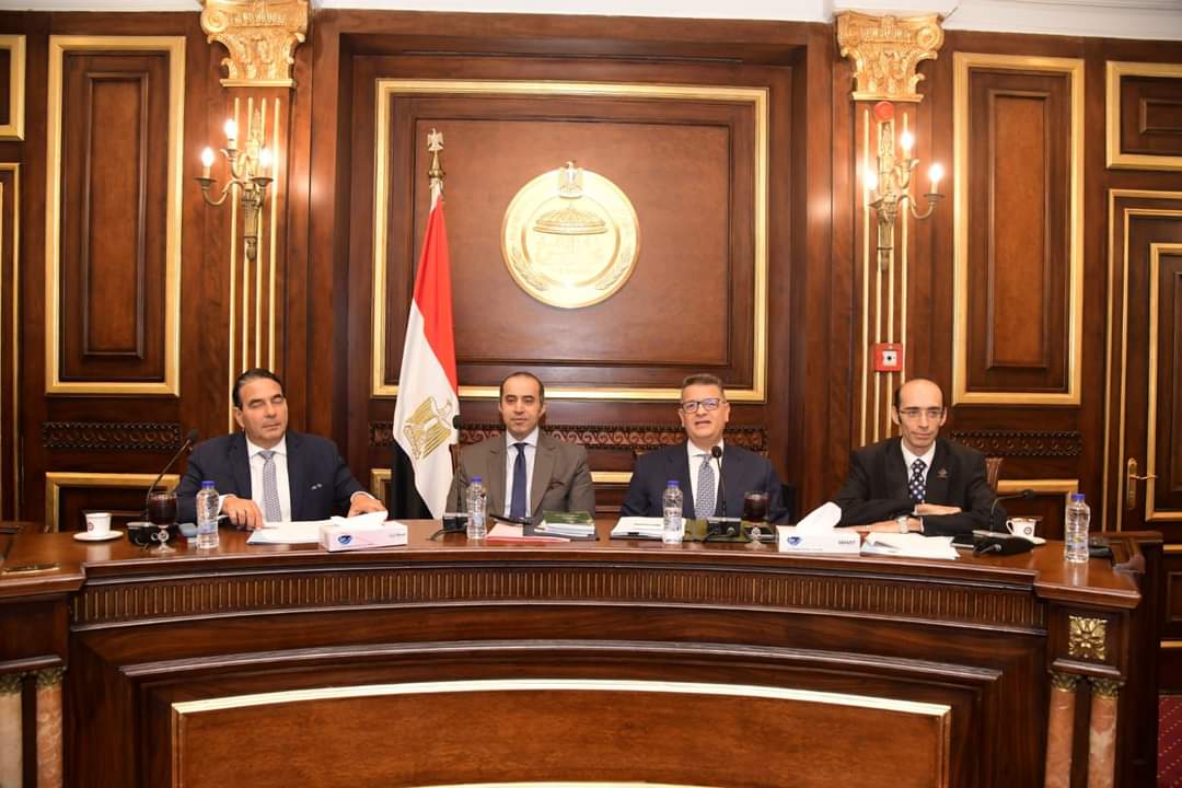 حقوق الإنسان بالنواب تجتمع بالمنظمات الحقوقية لمناقشة تقرير مصر للمراجعة الدورية الشاملة