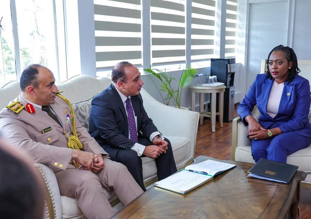 سفير مصر بنيروبى يبحث فرص تعزيز التعاون الثنائى والإقليمى مع وزيرة الدفاع الكينية - الخبر لايف