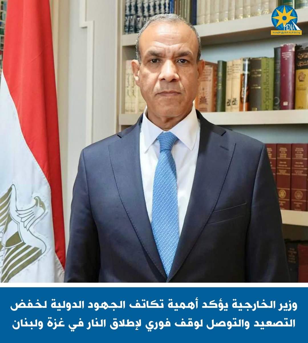 وزير الخارجية يبحث مع نظيره الفنلندى التطورات الإقليمية والدولية