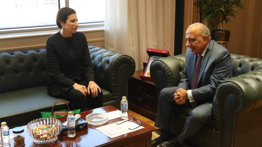 عصمت : دعم مشروع الربط الكهربائى بين مصر وقبرص