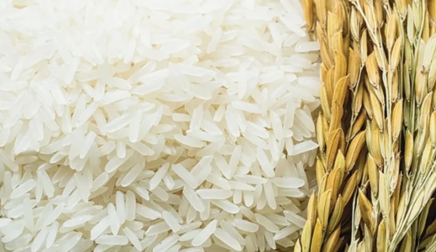 سعر طن الأرز الشعير بالاسواق المصرية اليوم