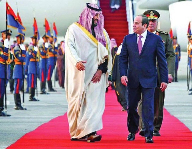 تشكيل مجلس التنسيق الأعلى المصرى السعودى برئاسة الرئيس السيسي وولي العهد الأمير محمد بن سلمان