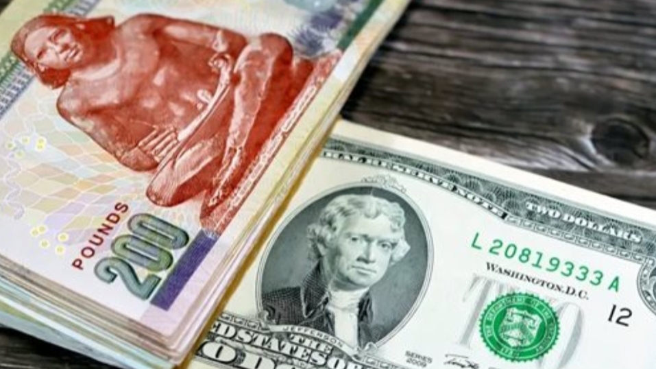متوسط أسعار العملات في مصر اليوم
