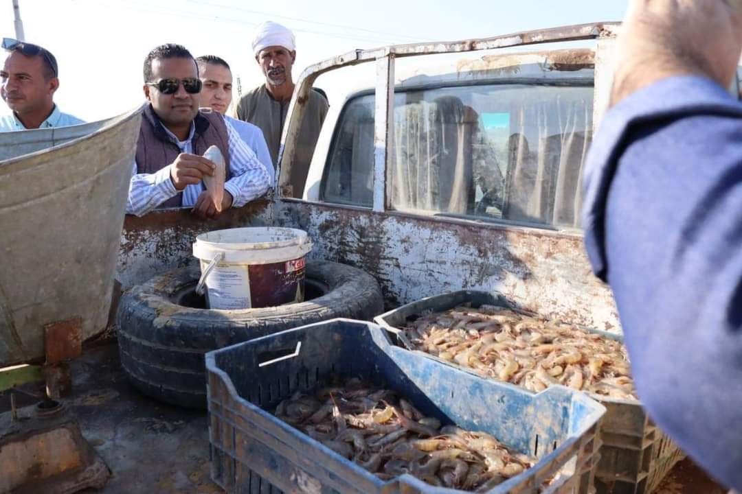 افتتاح موسم الصيد في بحيرة قارون بعد انقطاع دام سنوات 