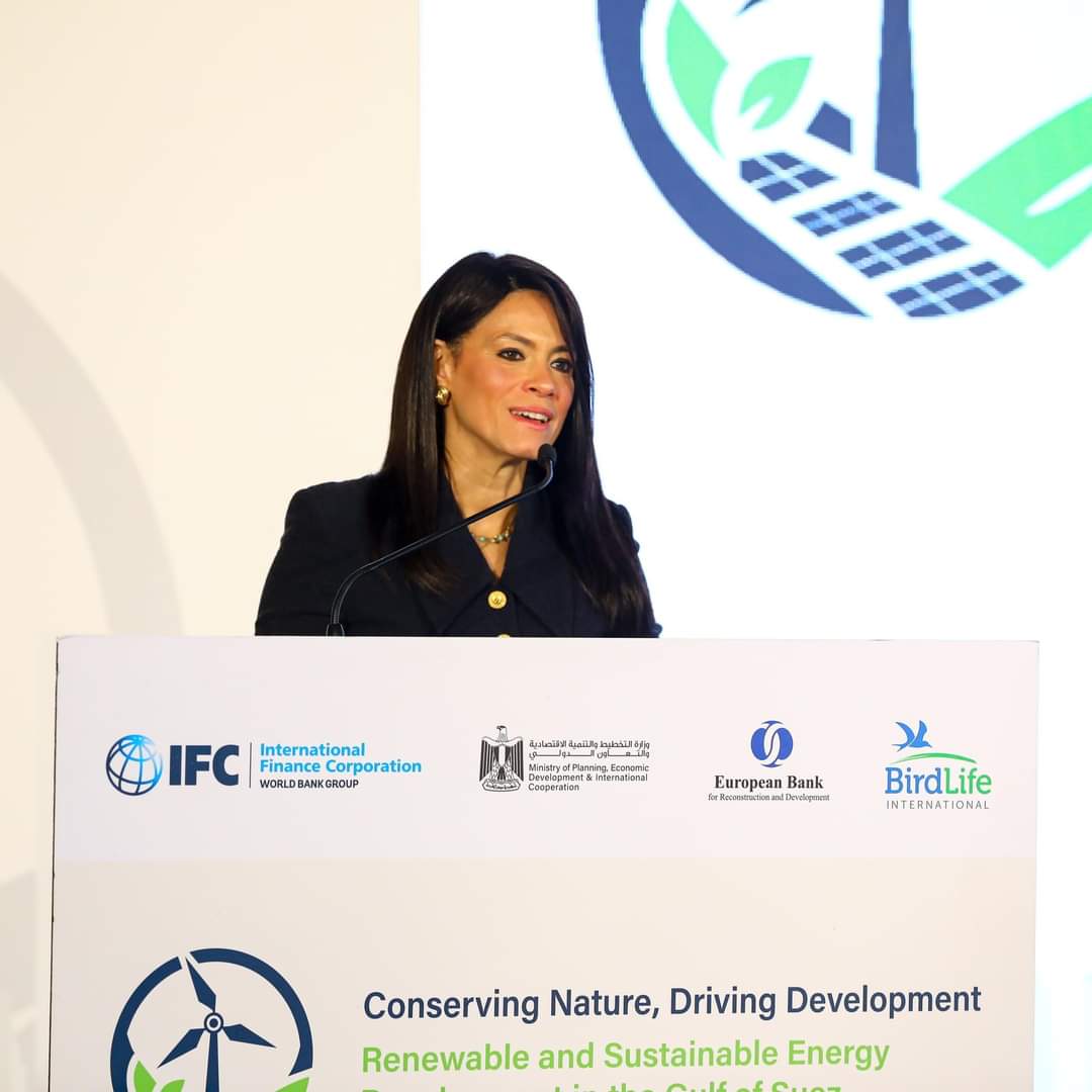 المشاط : صياغة دراسة متكاملة تضمن تحقيق التوازن بين احتياجاتنا التنموية والتزاماتنا البيئية