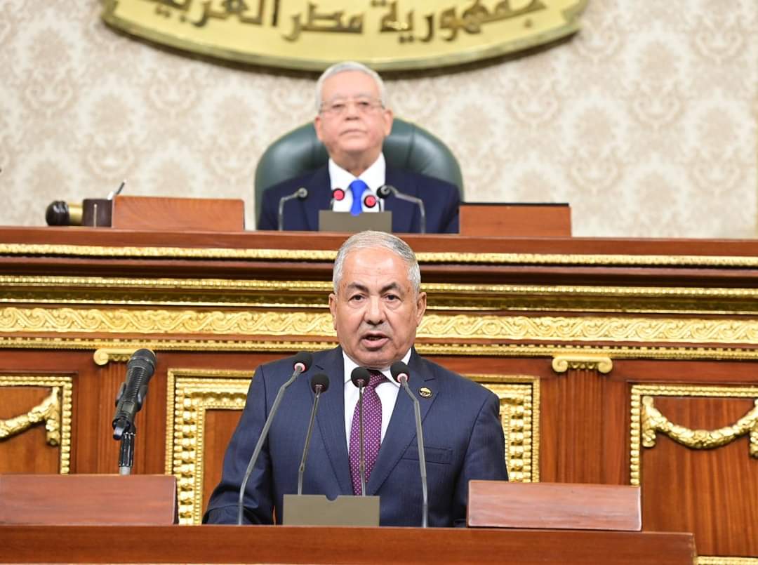مجلس النواب يوافق مبدأيا على مشروع قانون "لجوء الأجانب"