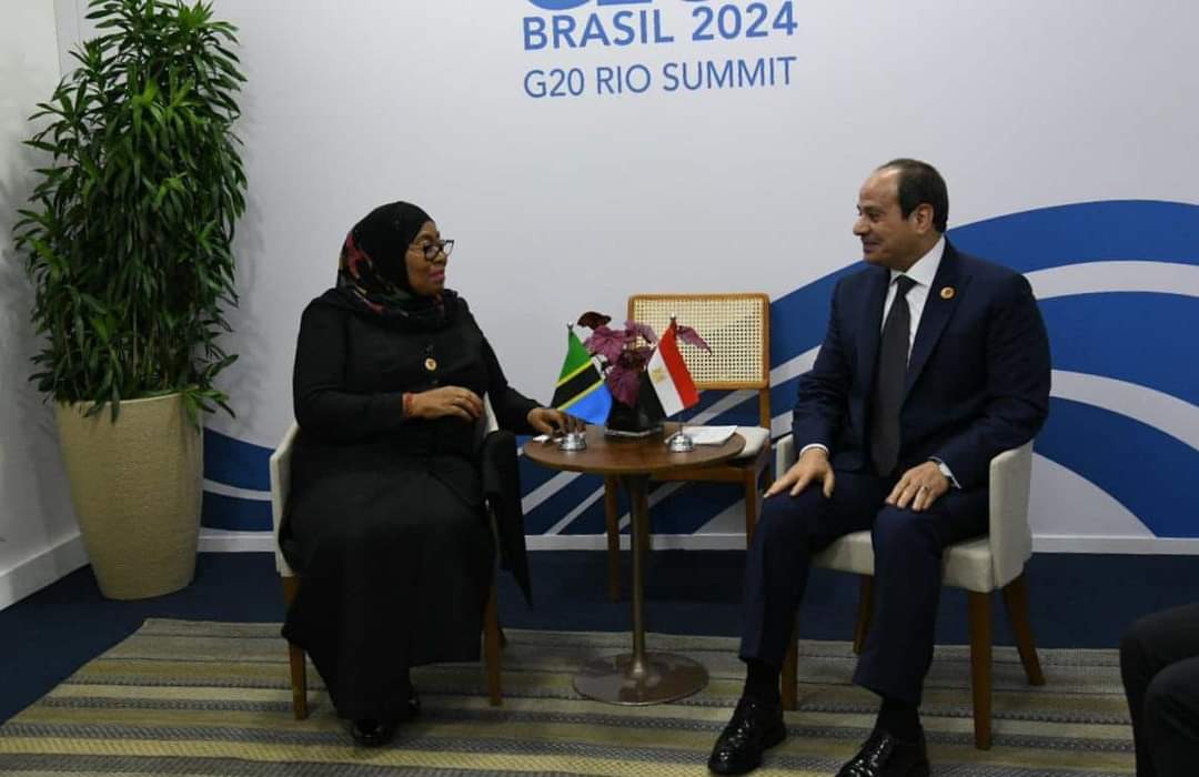 الرئيس يبحث مع رئيسة تنزانيا تعزيز التعاون بين دول حوض النيل