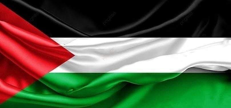 مصر تحيى اليوم الدولى للتضامن مع الشعب الفلسطينى