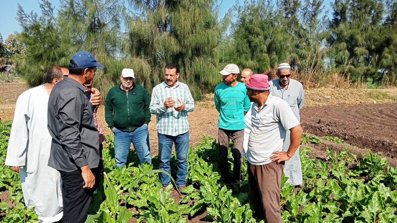 زراعة البحيرة .. ندوة إرشادية لتوعية مزارعي بنجر السكر