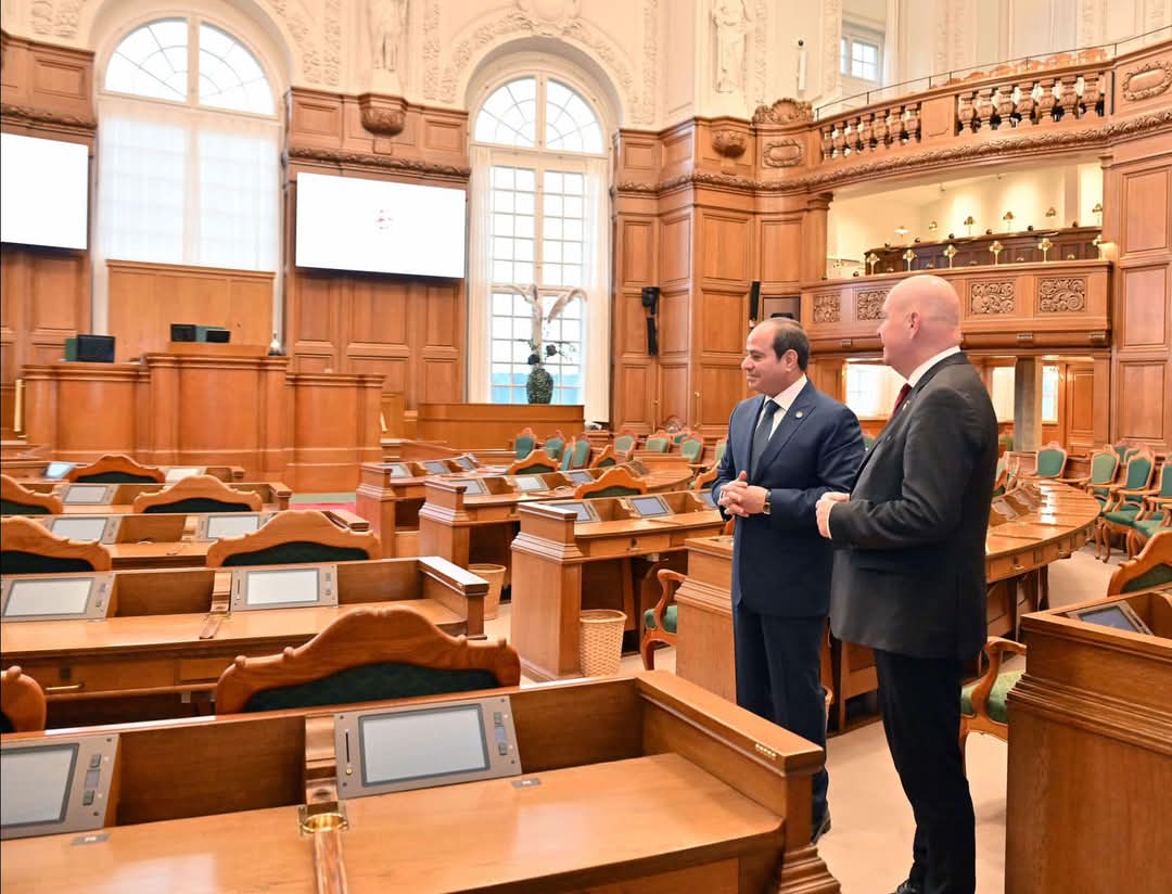 الرئيس: مصر حريصة على الارتقاء بكافة أوجه التعاون الثنائى مع الدنمارك - الخبر لايف