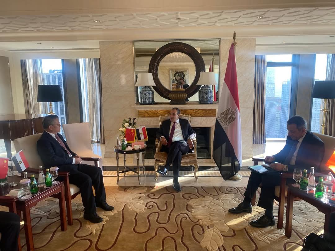 وزير الخارجية يؤكد على علاقات الشراكة الاستراتيجية مع الصين