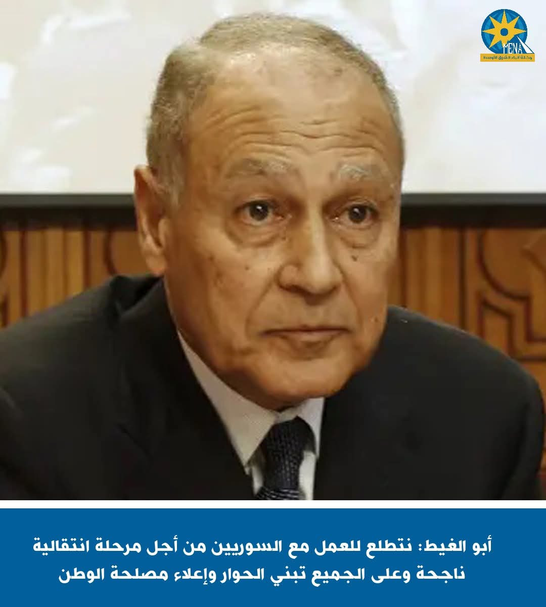 أبو الغيط:نتطلع إلى العمل مع السوريين من أجل مرحلة انتقالية ناجحة