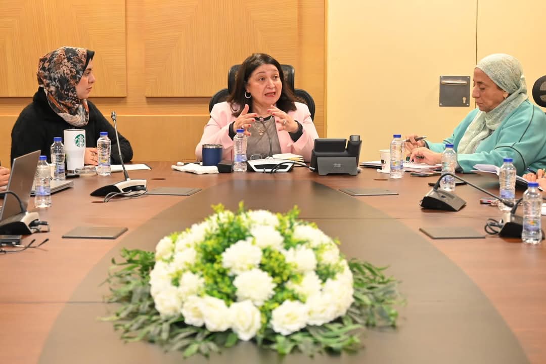 نائبة وزيرة التضامن  تلتقي مدير مشروع EOSD ووفد من الوكالة الألمانية للتعاون الدولى
