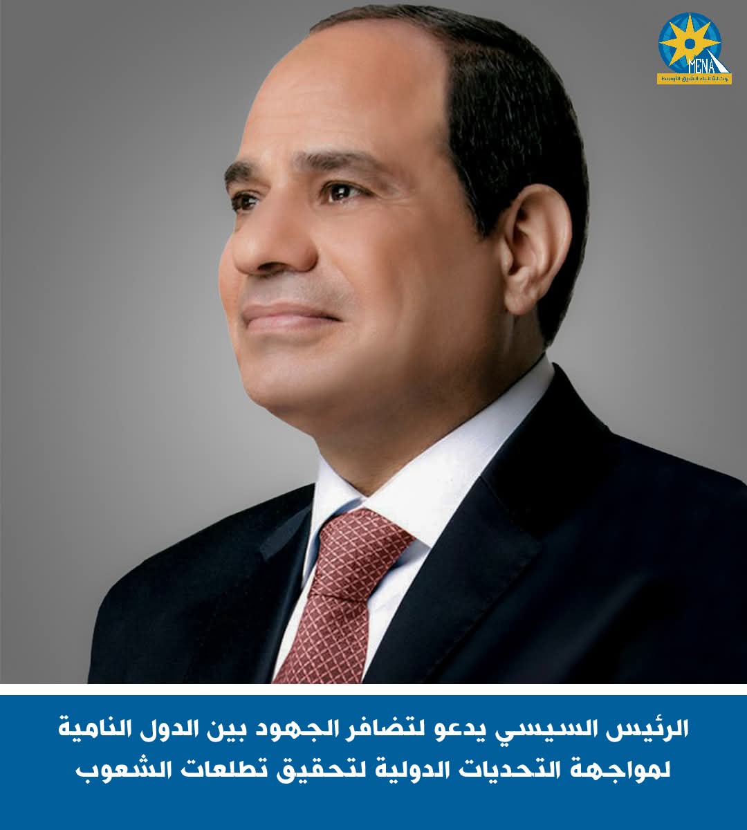 الرئيس يدعو لتضافر الجهود بين الدول النامية لمواجهة التحديات الدولية وتحقيق تطلعات الشعوب