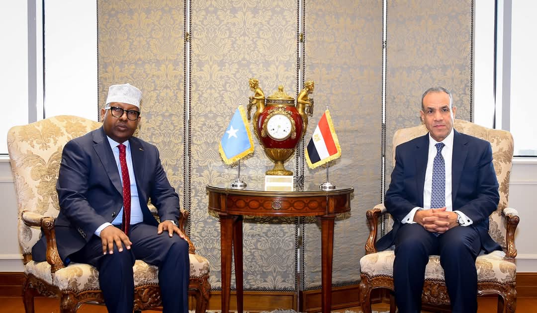 وزير الخارجية يبحث مع نظيره الصومالى العلاقات الثنائية والقضايا الدولية