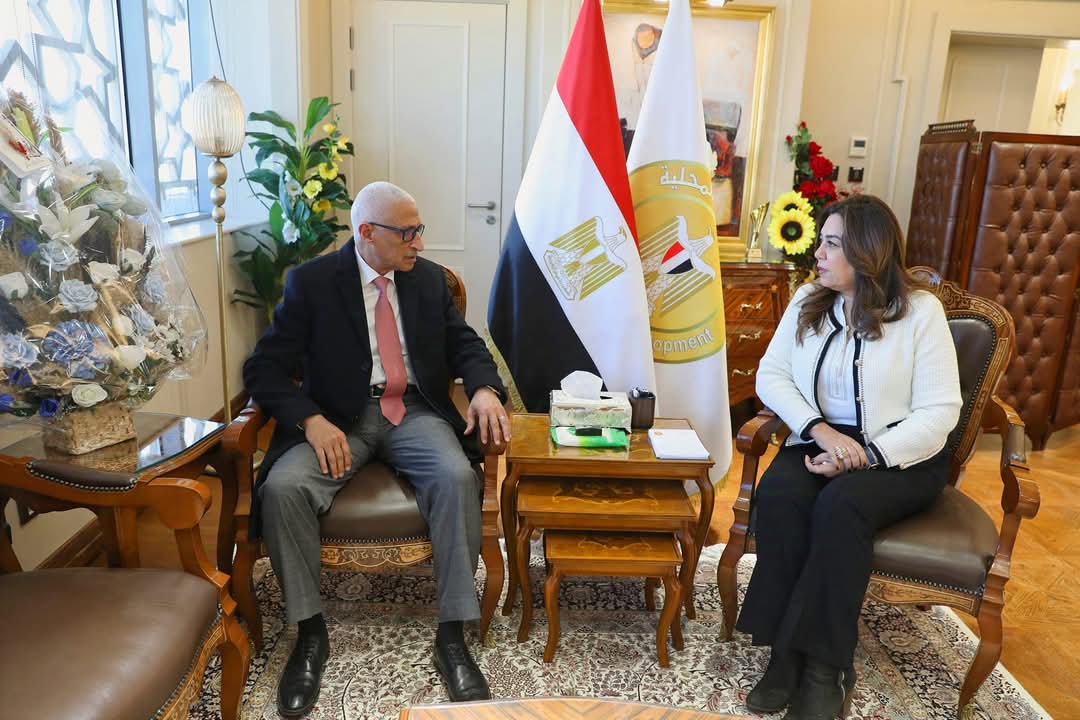 وزيرة التنمية المحلية بحثت مع محافظ شمال سيناء الموقف التنفيذى للمشروعات التنموية والخدمية