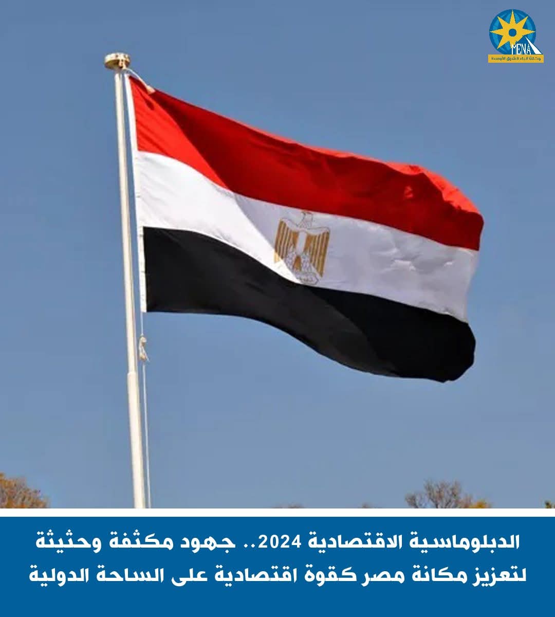 الدبلوماسية المصرية..عام مضى دفاعًا عن الثوابت الوطنية وتعزيز مصالح الدولة على الساحة الإقليمية والدولية