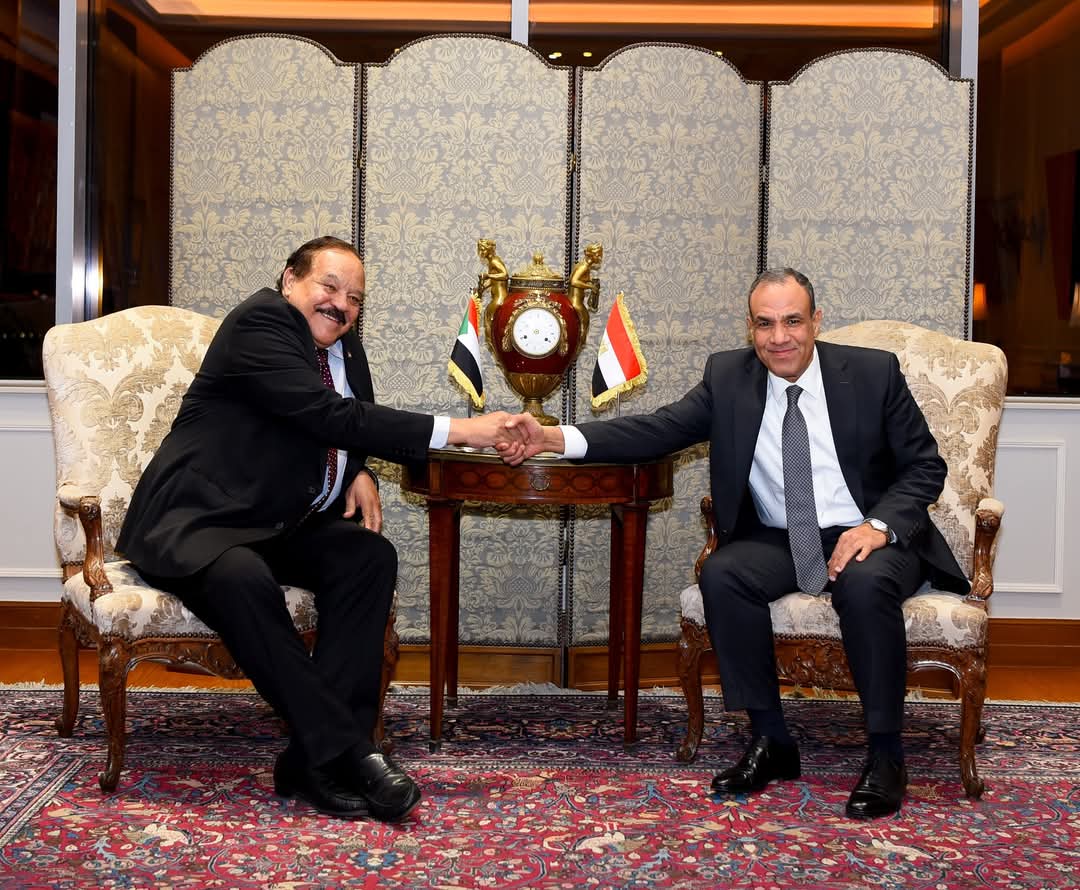 وزير الخارجية يؤكد دعم مصر الكامل للسودان 
