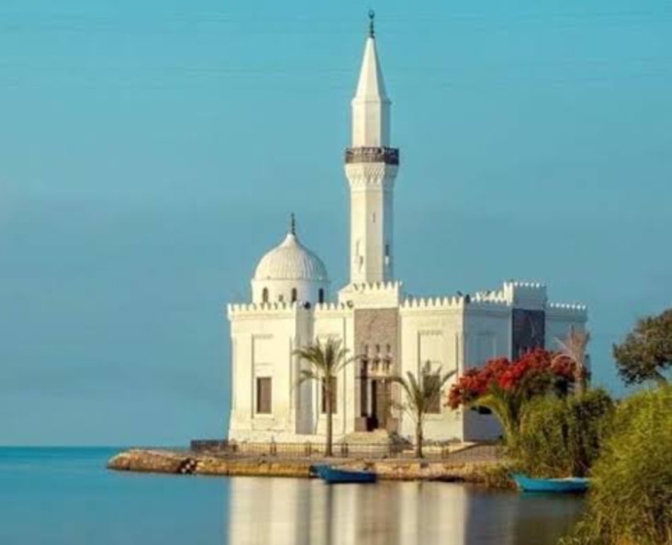 رشيد زهرة النيل .. البحيرة على موعد مع التاريخ