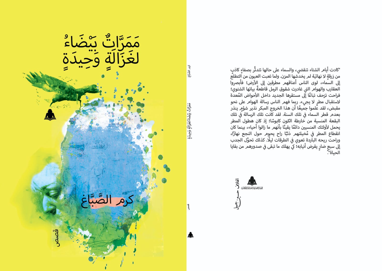 المكان البطل الرئيسي .. في المجموعة القصصية «ممرات بيضاء لغزالة وحيدة»