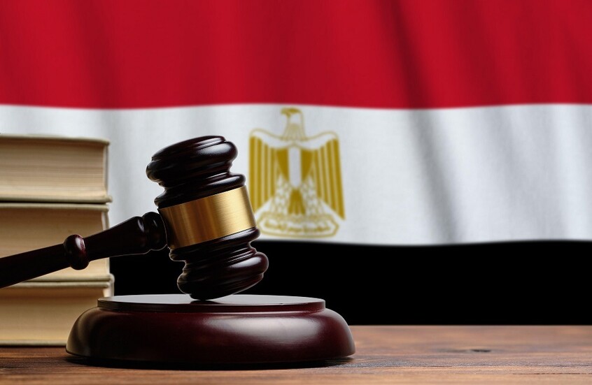 إلغاء حبس سوزى الأردنية وتغريمها 300 ألف جنيه