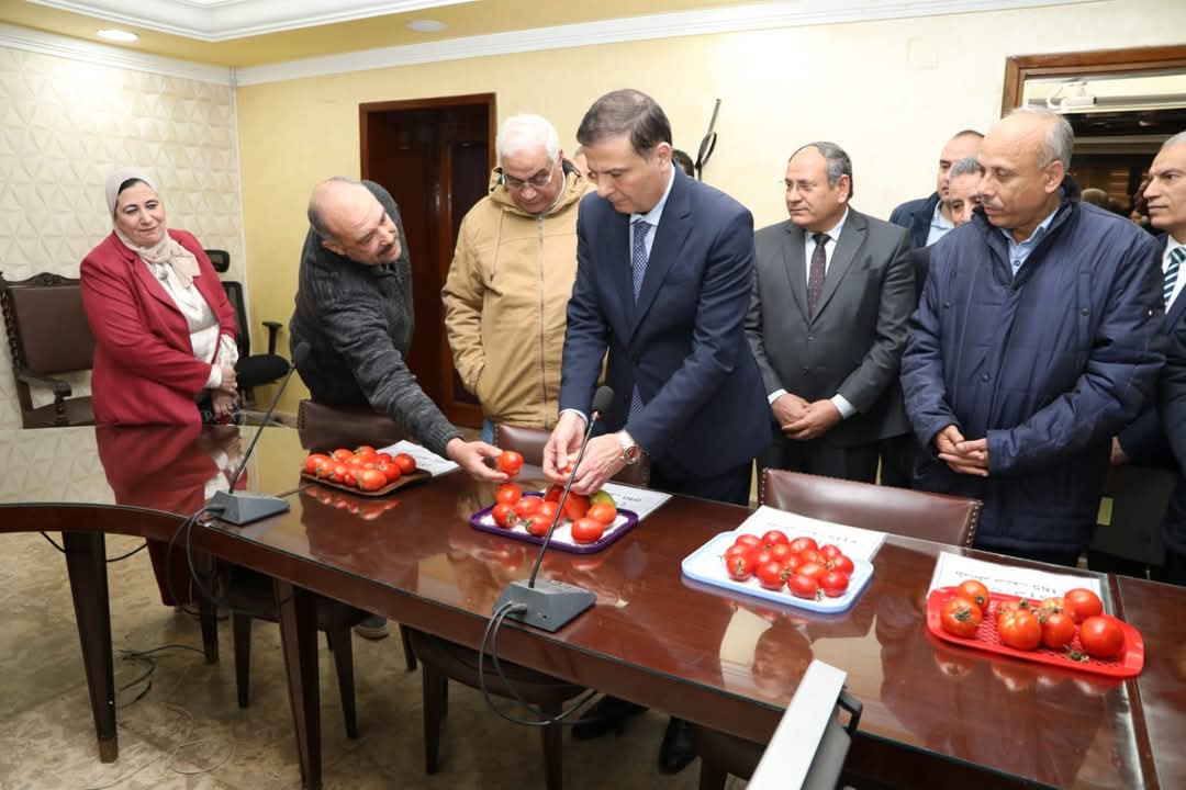 "الزراعة" تنجح فى استنباط ٨ أصناف جديدة من تقاوى الطماطم