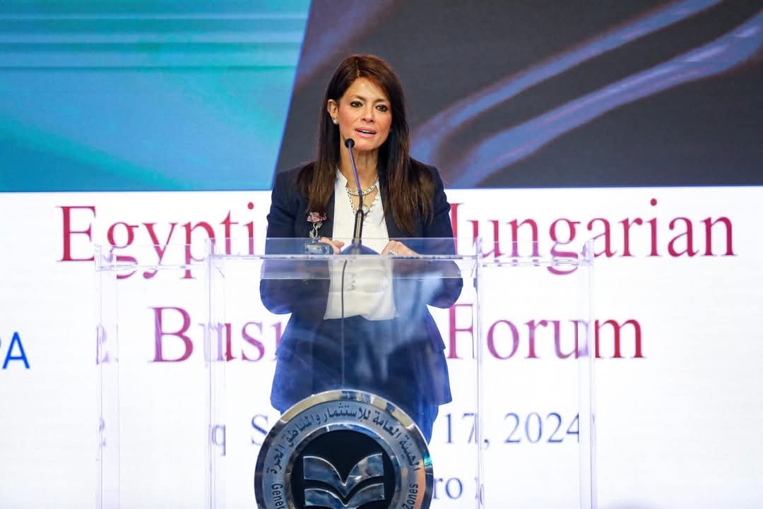 الحصاد السنوى 2024.. لوزارة التخطيط والتنمية الاقتصادية