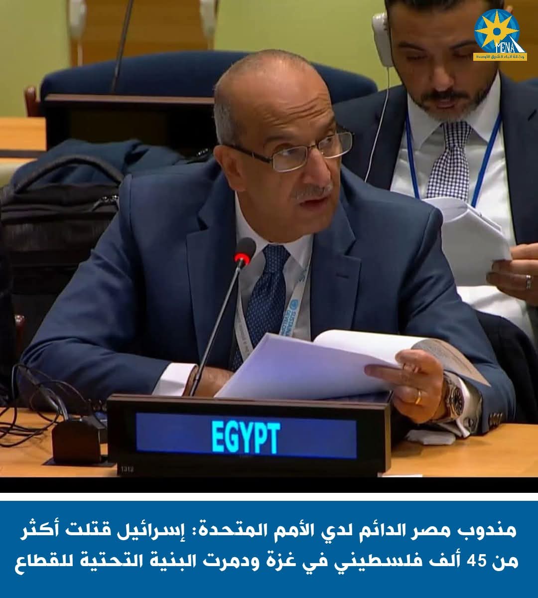 مندوب مصر بالأمم المتحدة:إسرائيل قتلت أكثر من 45 ألف فلسطينى فى غزة