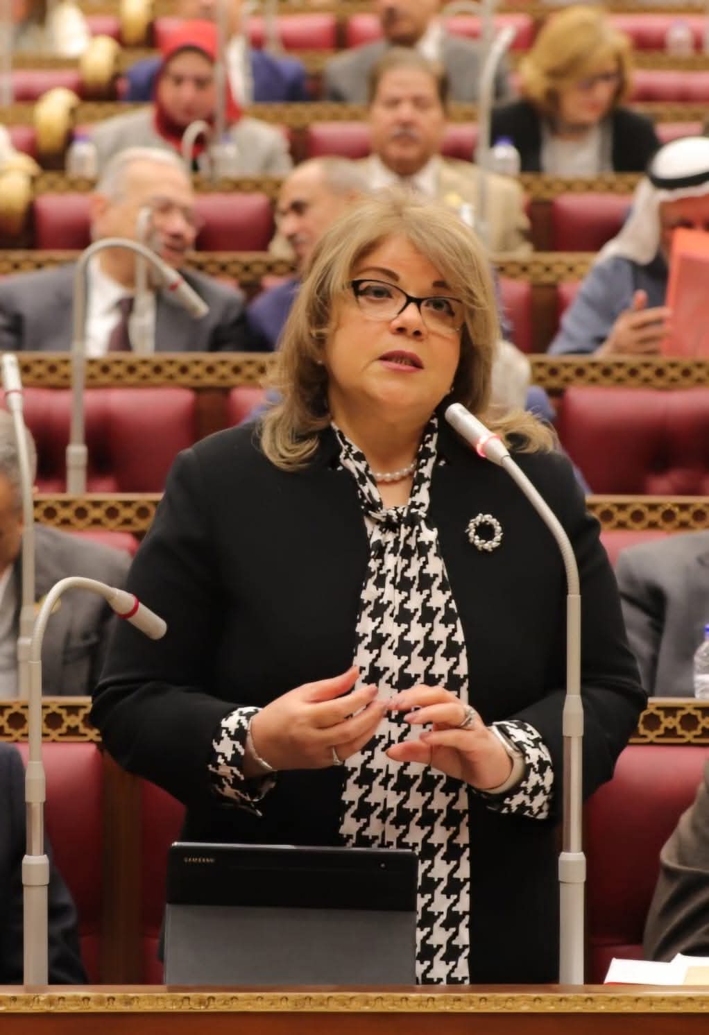 وكيلة الشيوخ : ثروات مصر المعدنية ..إضافة بالغة للاقتصاد المصرى 