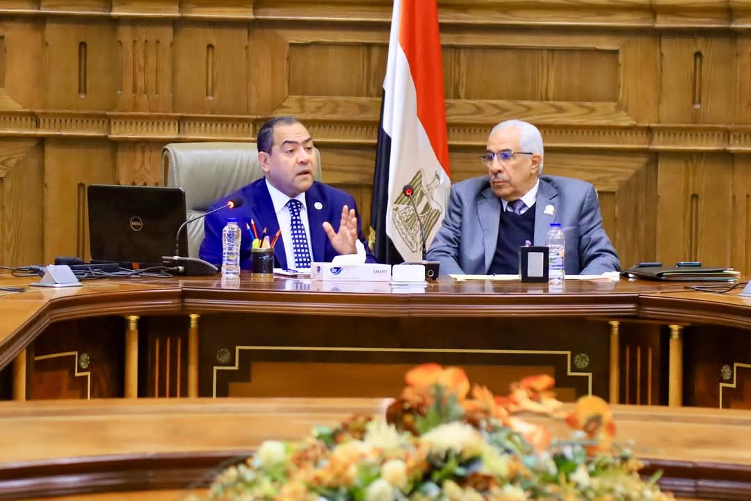 إطلاق منظومة إلكترونية لتنمية وبناء قدرات الموظفين بالجهاز الإدارى للدولة يونيو المقبل