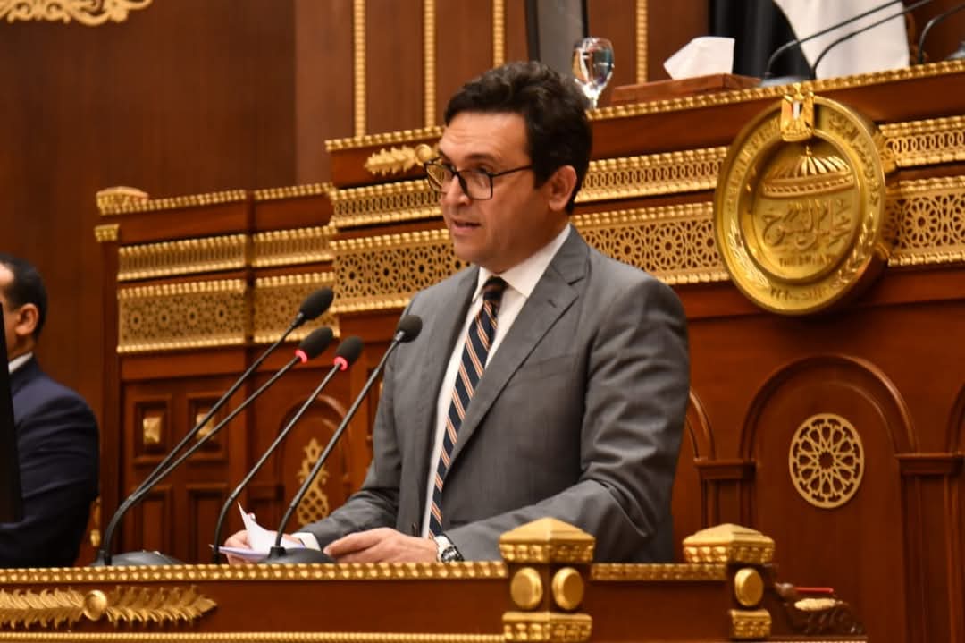 هنو: استراتيجية شاملة لتطوير الهيئة العامة لقصور الثقافة