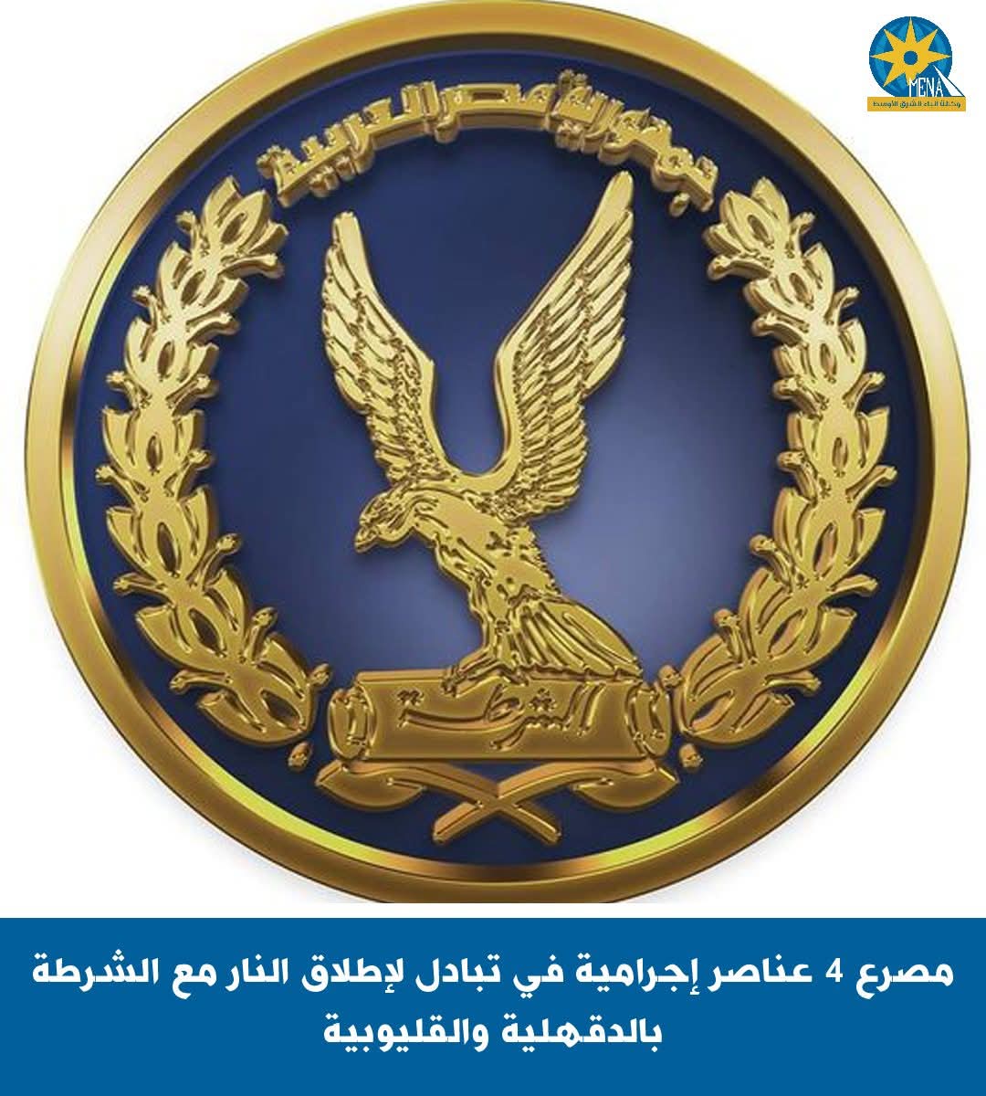 مصرع 4 عناصر إجرامية.. بالدقهلية والقليوبية