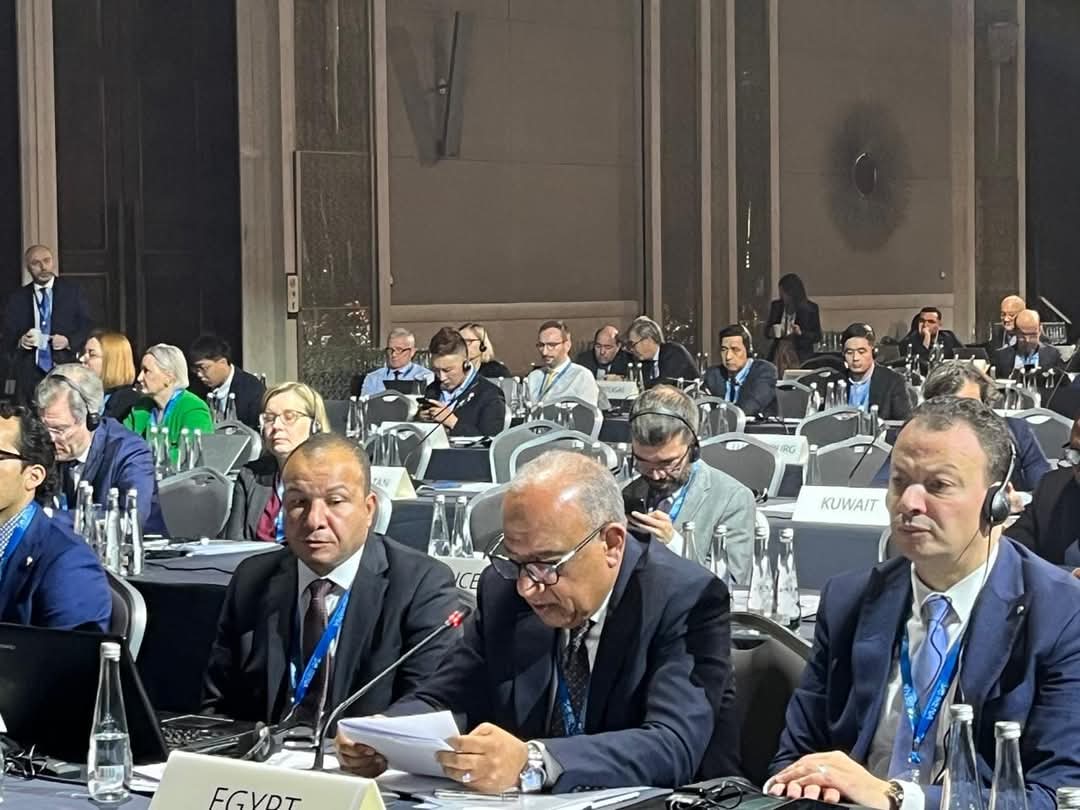 وزير الكهرباء يلقي كلمة مصر أمام الجمعية العامة للوكالة الدولية للطاقة المتجددة "IRENA".