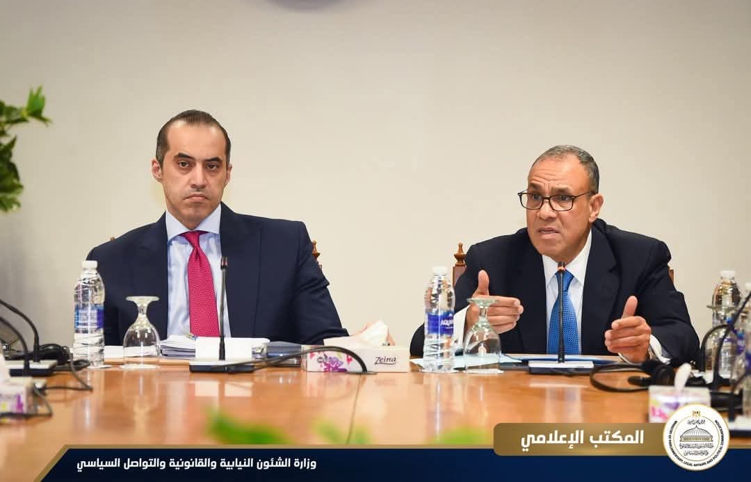 وزيرا الشئون النيابية.. لسفراء الإتحاد الأوروبى :مصر حققت تقدمًا فى مجالات حقوق الإنسان