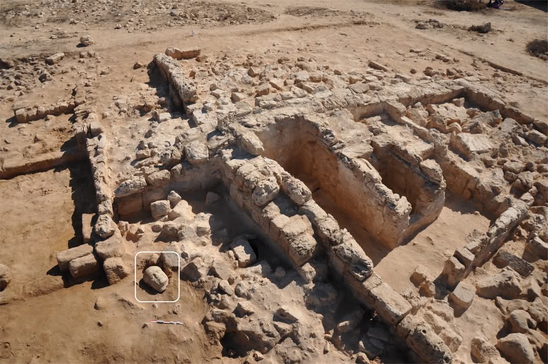 "الآثار": الكشف عن رأس بطلمى من القرن السابع الميلادى بتابوزيرس ماجنا بالإسكندرية