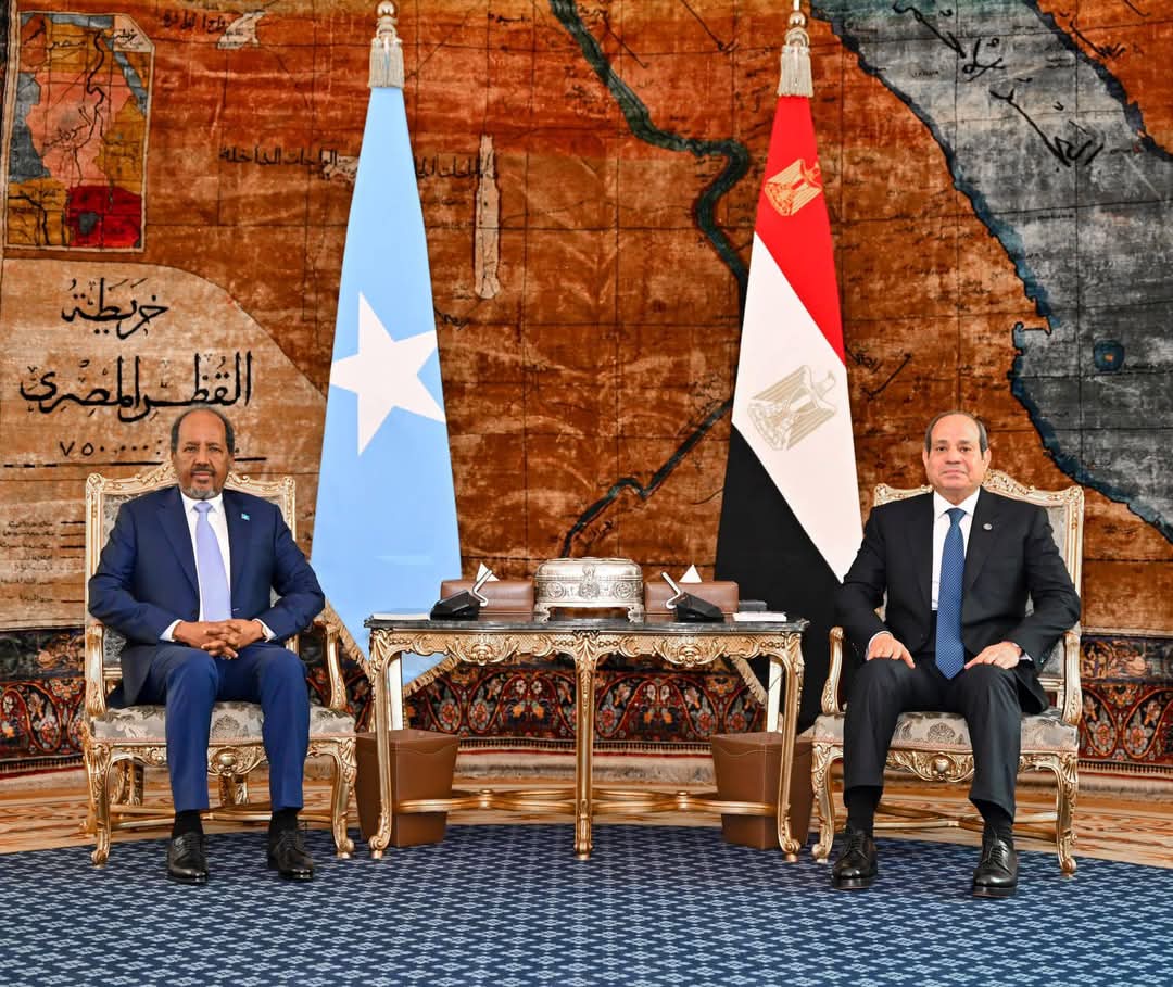 الرئيس الصومالى: علاقاتنا مع مصر عميقة على مدار التاريخ