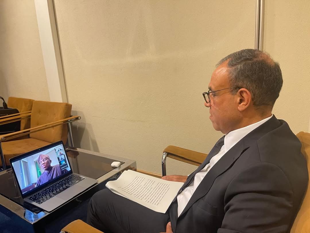 وزير الخارجية:تكثيف العمل لإستعادة الإستقرار والأمن فى الكونجو الديمقراطية