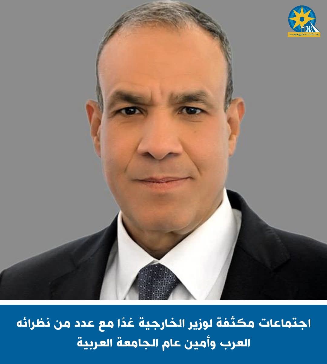 اجتماعات مكثفة لوزير الخارجية غداً مع عدد من نظرائه العرب وأمين عام الجامعة العربية