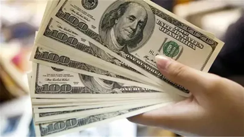 سعر الدولار اليوم الثلاثاء 4 فبراير 2025 في البنوك
