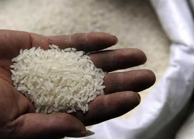 اسعار الأرز الشعير اليوم الثلاثاء 4 فبراير 2025